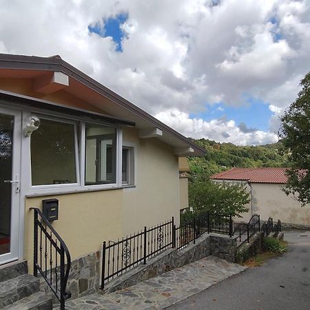 Črni Kal Apartma Apollonio מראה חיצוני תמונה